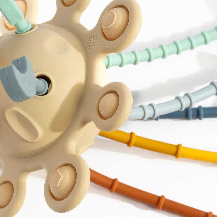 Playground Pull String Interactive Toy