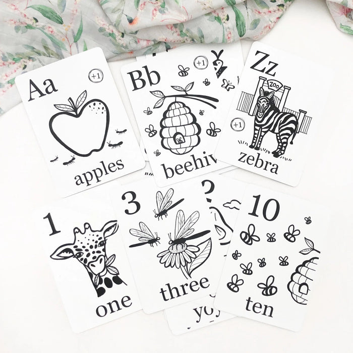 One Chew Three Alphabet & Number Flash Cards