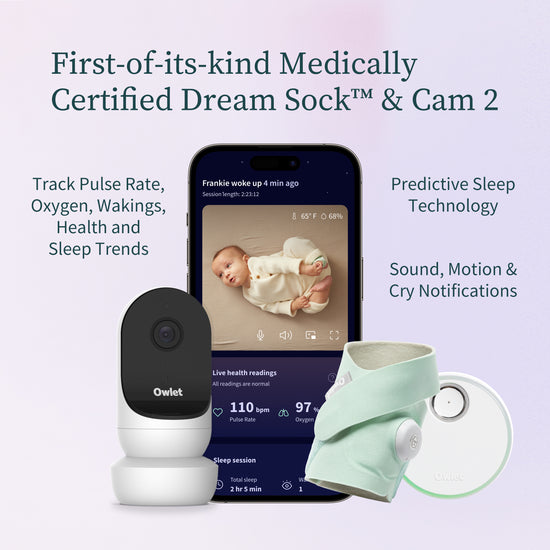 Owlet Dream Duo