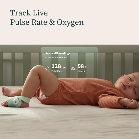 Owlet Dream Duo
