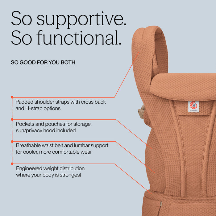 Ergobaby Omni Deluxe Mesh Baby Carrier
