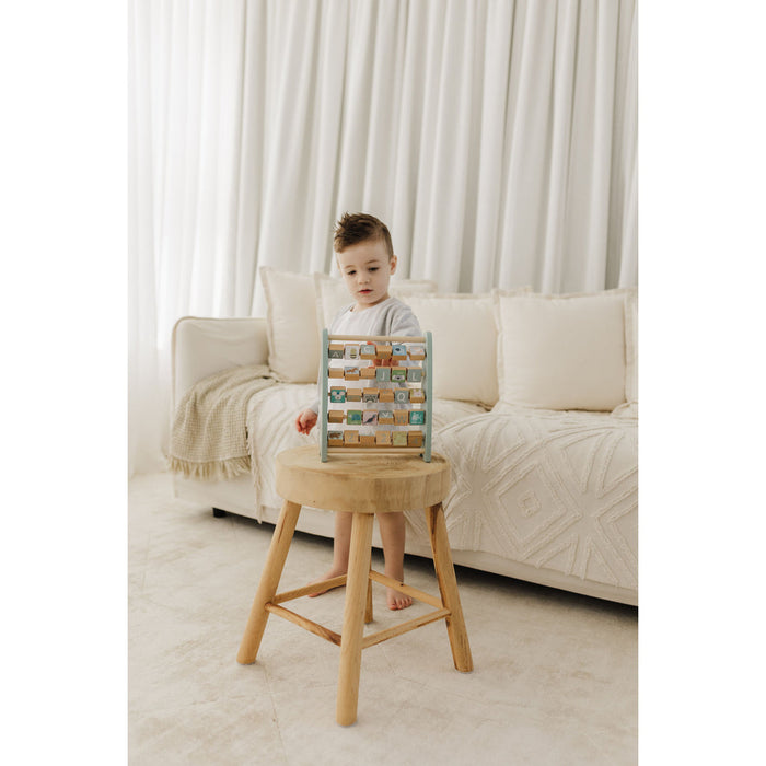 Bubble Wooden Abacus