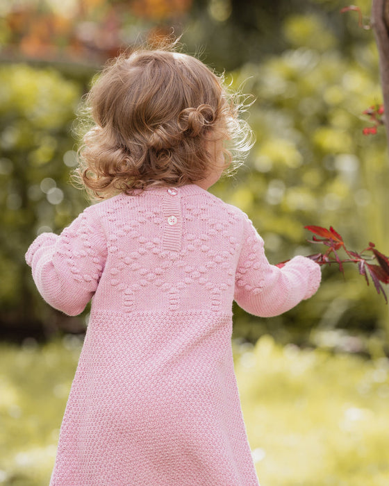 Bebe Winnie Organic Knit Dress