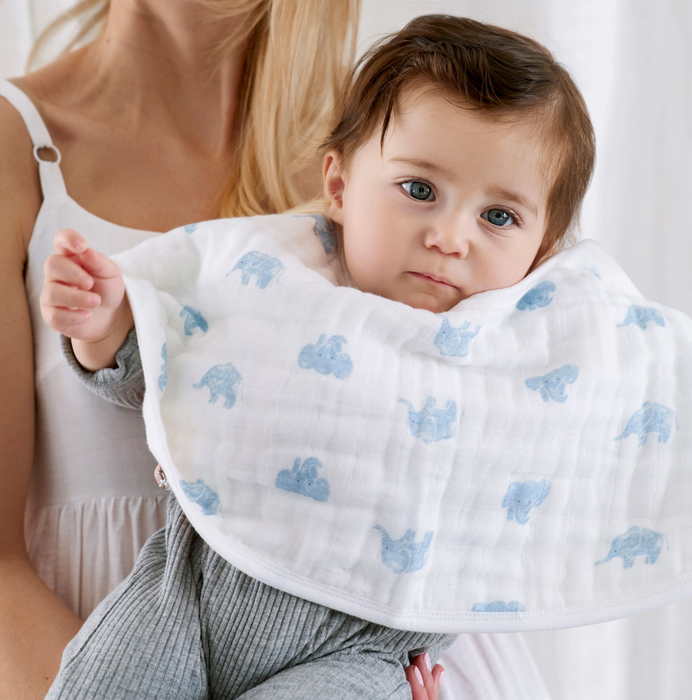 Aden + Anais Organic Burpy Bibs