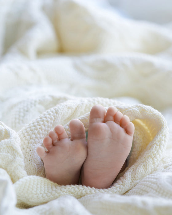 Toshi Organic Blanket Bowie