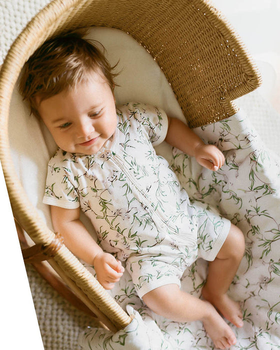 Bebe Taylor Zip Romper