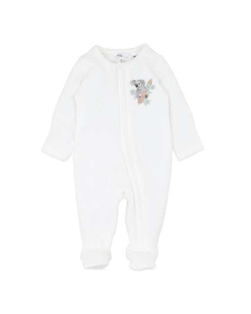 Bebe Charlie Koala Velour Onesie
