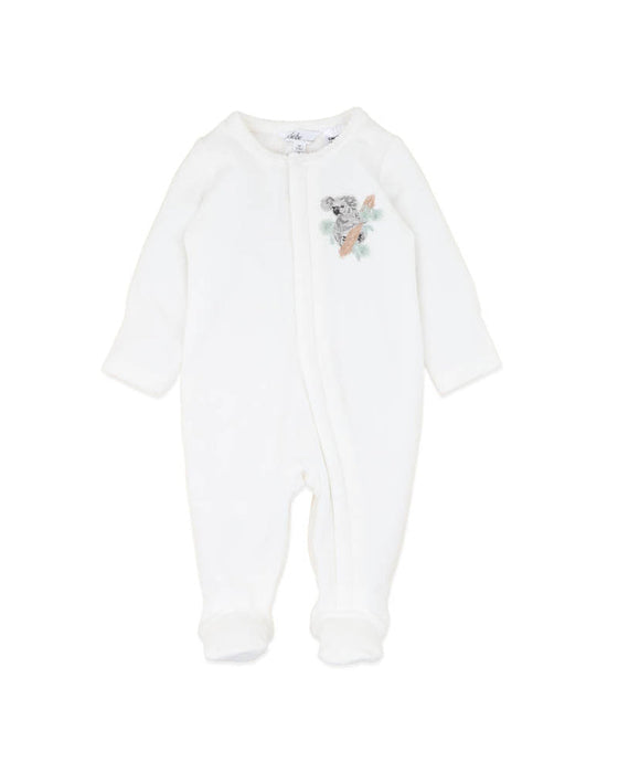 Bebe Charlie Koala Velour Onesie