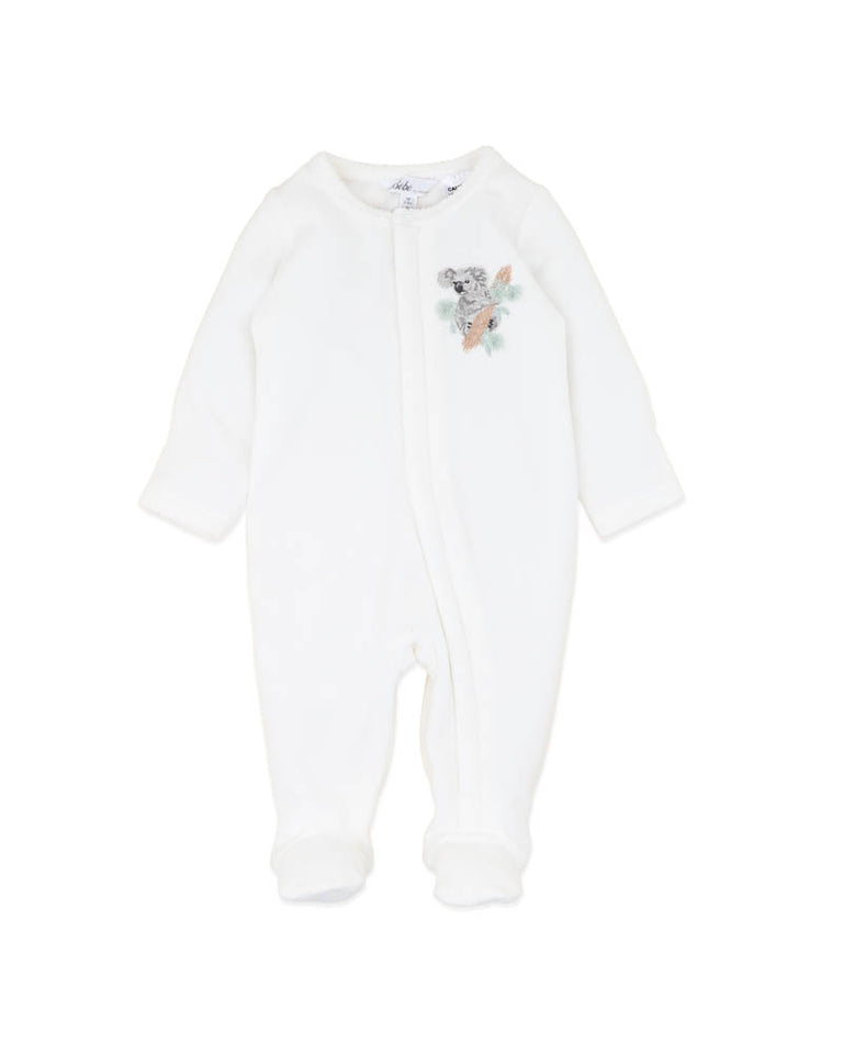 Bebe Charlie Koala Velour Onesie