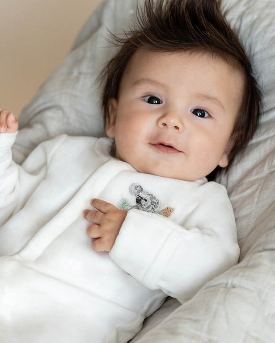 Bebe Charlie Koala Velour Onesie