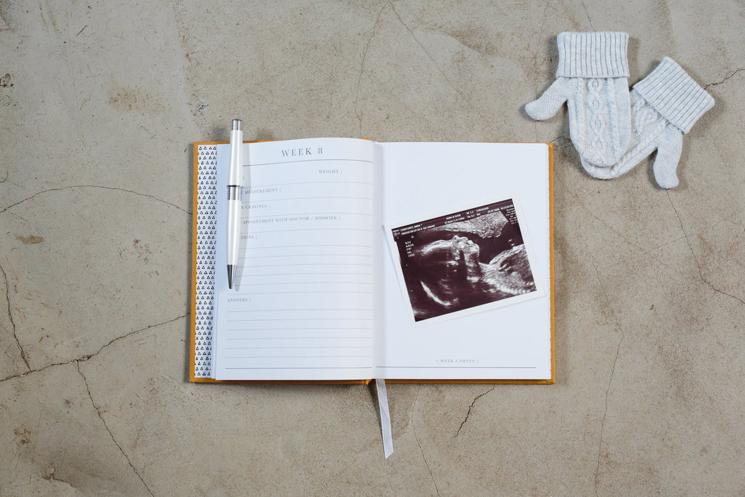 Write To Me Pregnancy Journal