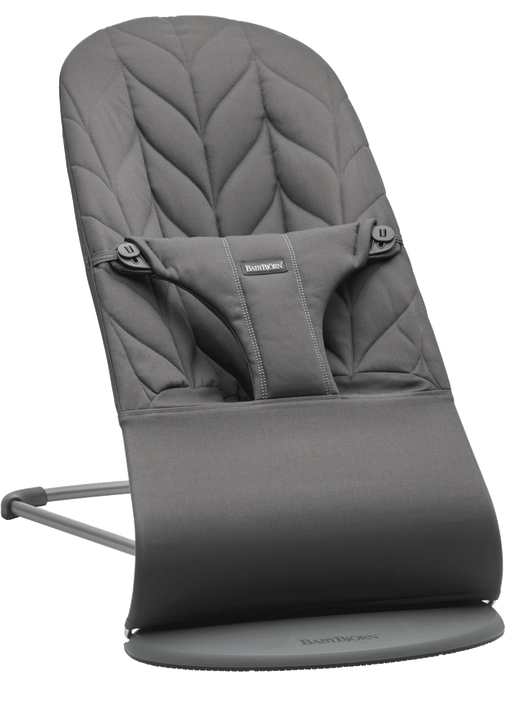 Baby Bjorn Bliss Bouncer