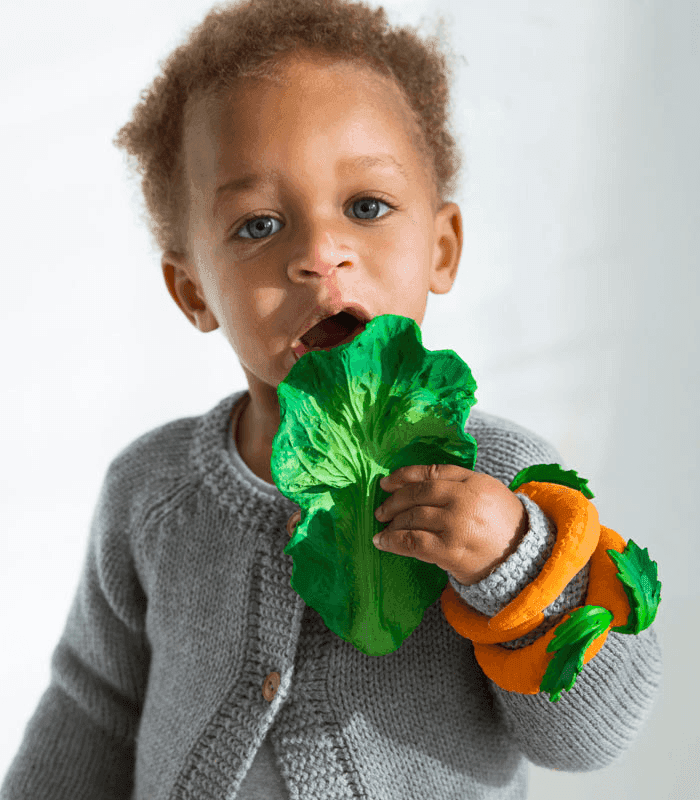 Oli and best sale carol toys